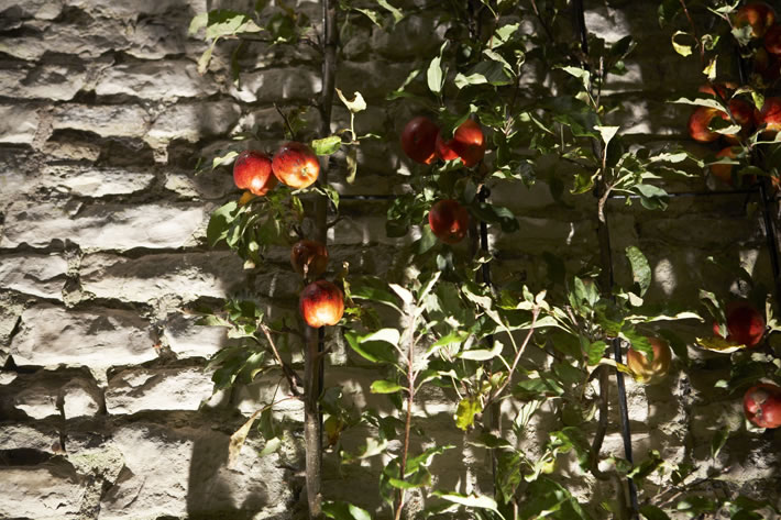 Doynton Private Gardens, Wiltshire 6